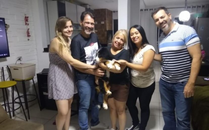 Entrega de um Bernese ao ator Rogger, da novela — mais um amigo do Canil Maclau numa família especial.